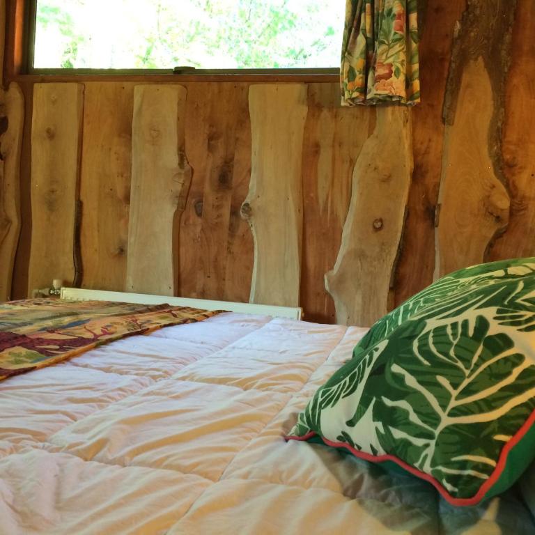 Ecoreserva Quelhue Lodge y Cabañas - Bungalow (4 adultos) - 10
