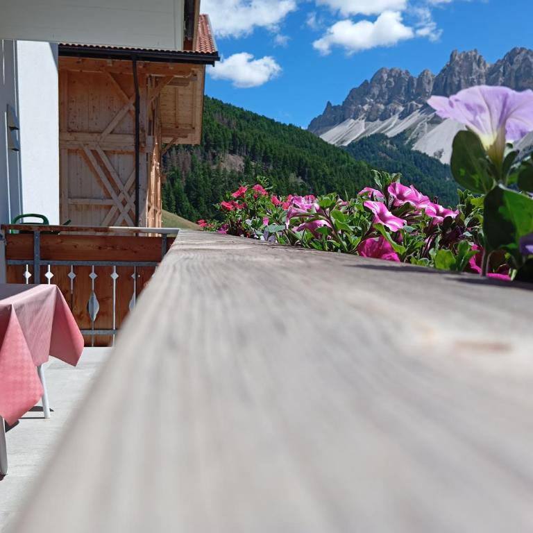 Zimmererhof - Appartamento con Vista Montagna - 3