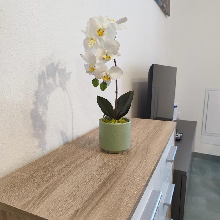 appartamento Pellizzano - Appartamento con Vista Montagna - 12