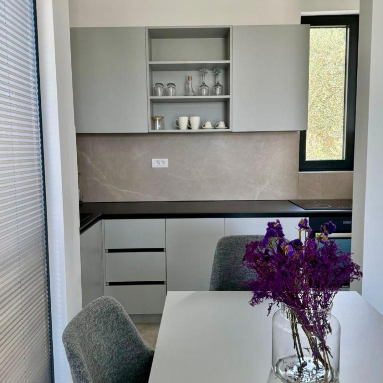 Residenza Apartments - Apartment mit 1 Schlafzimmer, Meerblick und Terrasse - 5