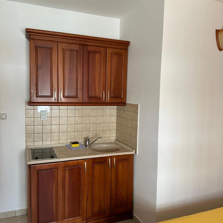 Apartmani Aleks - Porodična Soba sa Terasom - 4