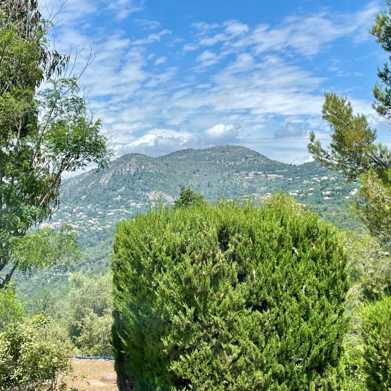 Auberge du Rédier - Logis Hôtels - Chambre Double - Vue sur Montagne - 2