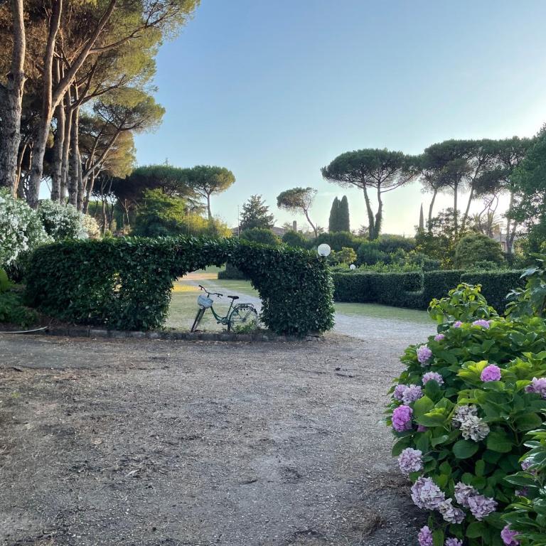 Cottages 995 #1 - Casa Vacanze - 19