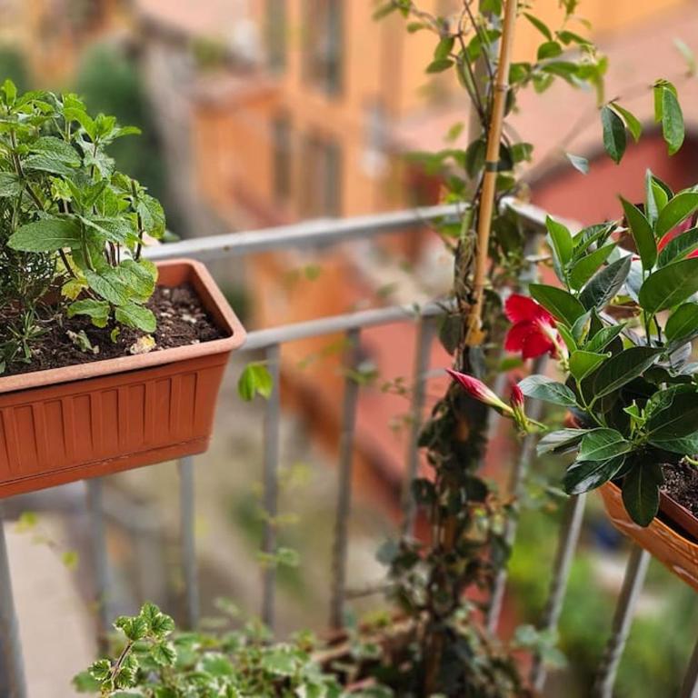Appartamento in centro con vista sul canale - Two-Bedroom Apartment - 9