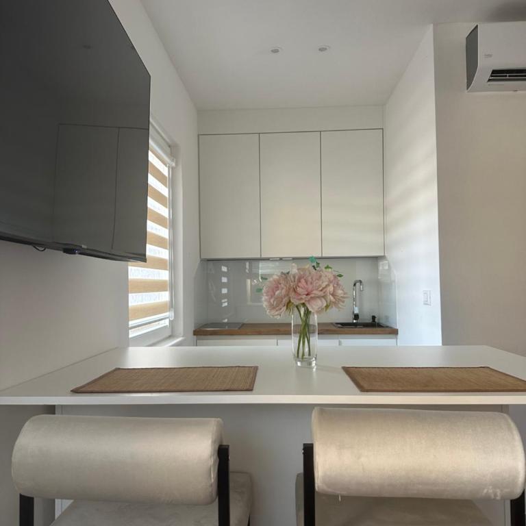 Bascarsija Suite - Apartman sa 1 Spavaćom Sobom - 14
