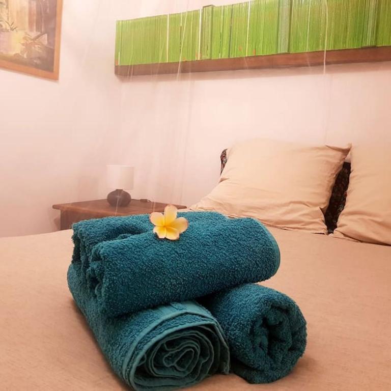 Cactus Om'stay Studio jacuzzi Vallée du loup - Appartement 1 Chambre - 4