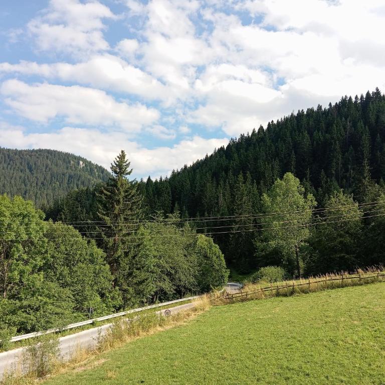 Planinska Kuca "KABLAR" Jahorina - One-Bedroom Apartment - 16