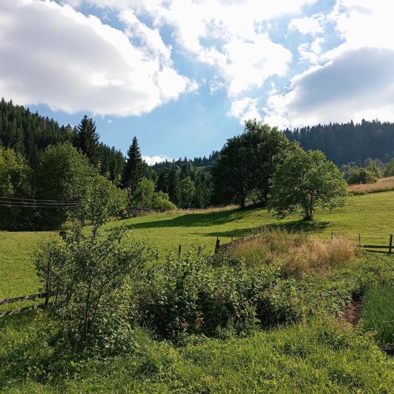 Planinska Kuca "KABLAR" Jahorina - One-Bedroom Apartment - 17