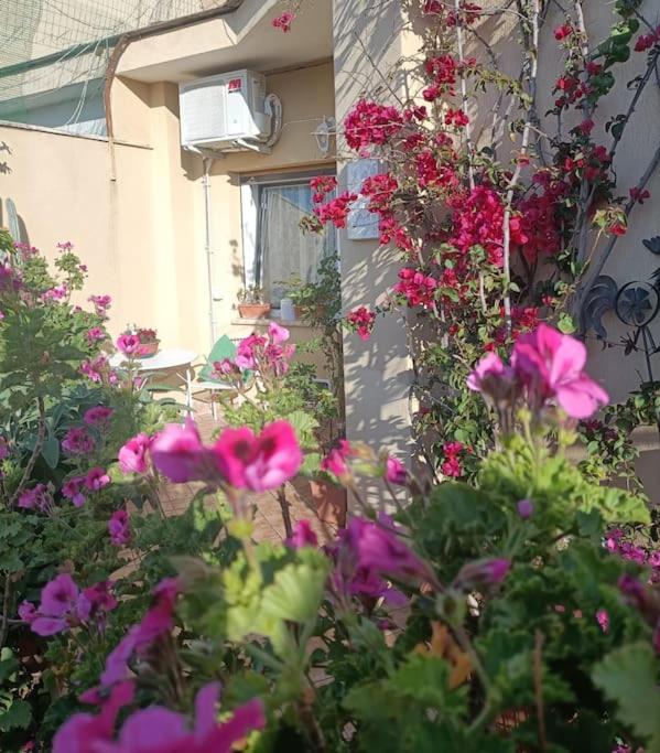 Le Buganville - One-Bedroom Apartment - 19