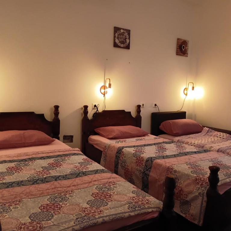 Hostel Flash - Single Bed in Dormitory Room - 10