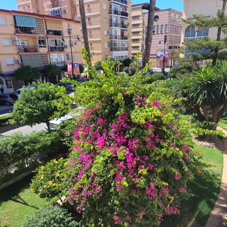 Sunny apartment in the Center, 5 min. from the Beach - Apartamento de 1 dormitorio con vistas al jardín - 7
