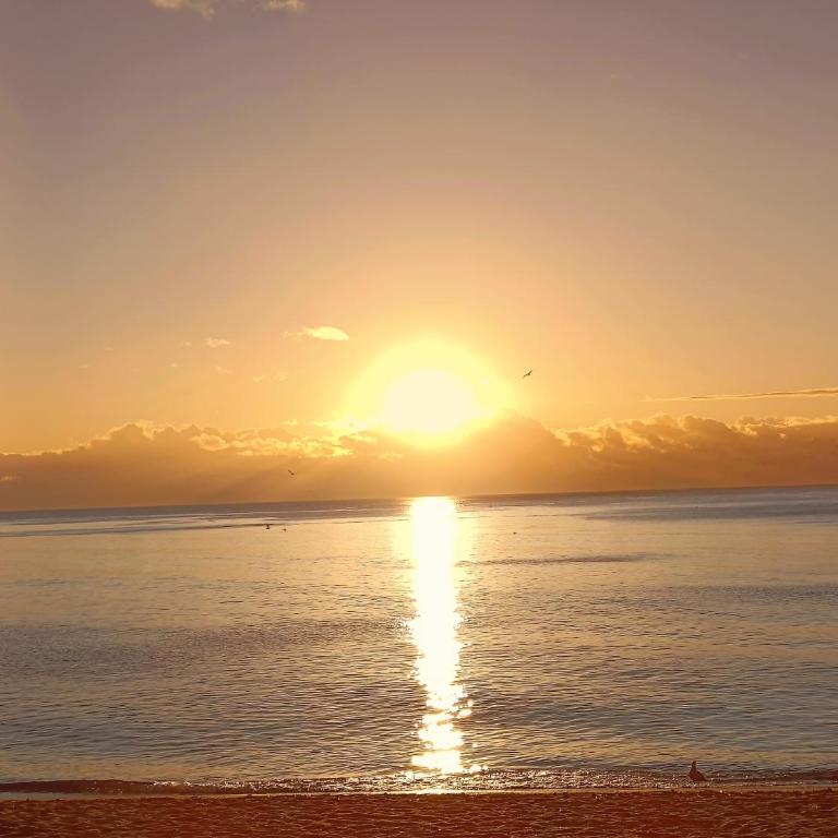 Sunny apartment in the Center, 5 min. from the Beach - Apartamento de 1 dormitorio con vistas al jardín - 28