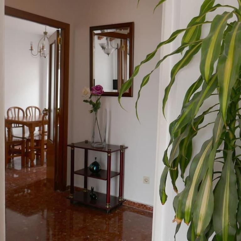 Casa Soleada Calle Tranquila Junto a FIBES - Casa - 9