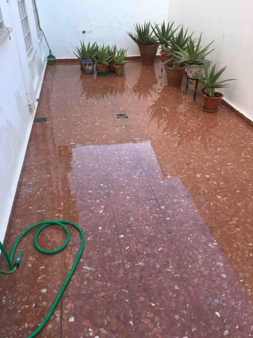 Casa Soleada Calle Tranquila Junto a FIBES - Casa - 15