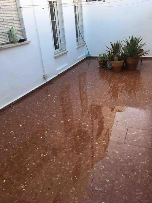 Casa Soleada Calle Tranquila Junto a FIBES - Casa - 16