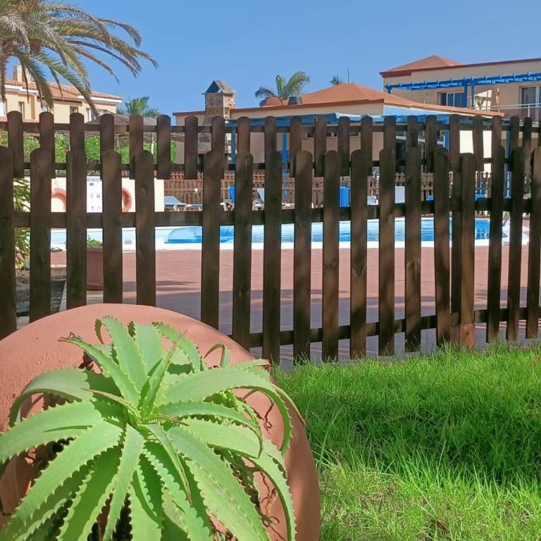 CASA ANITA, pool sea and surf in Corralejo - Apartamento de 1 dormitorio - 19