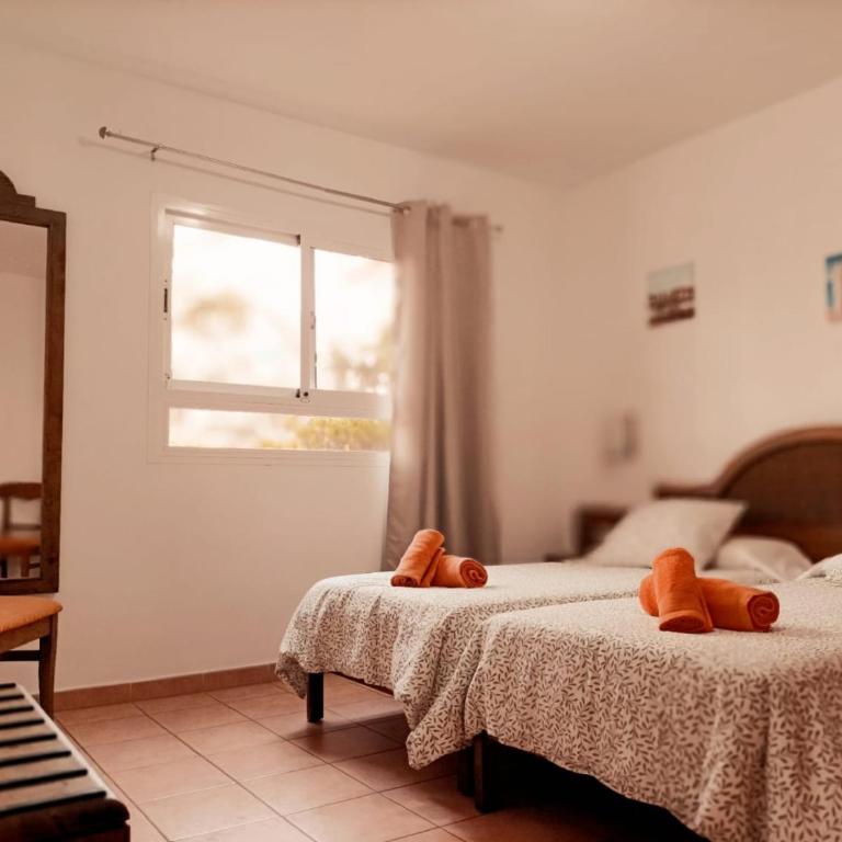 CASA ANITA, pool sea and surf in Corralejo - Apartamento de 1 dormitorio - 12
