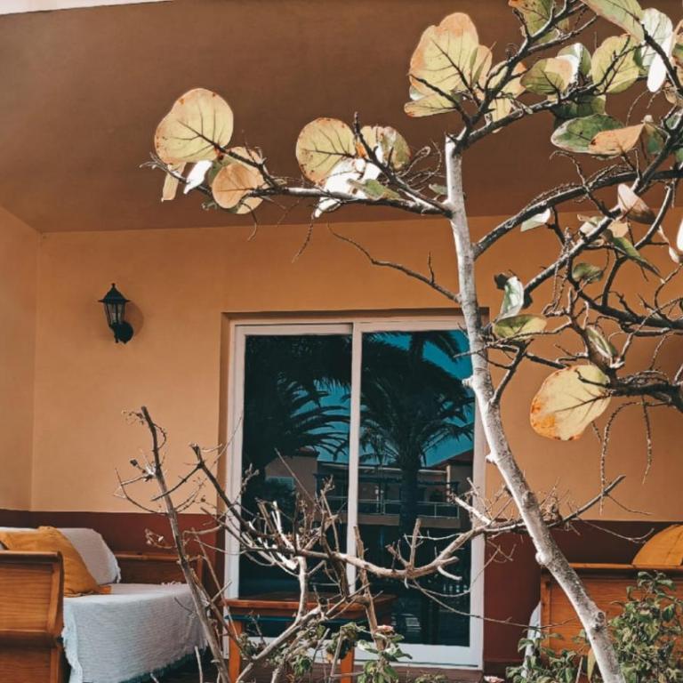 CASA ANITA, pool sea and surf in Corralejo - Apartamento de 1 dormitorio - 30