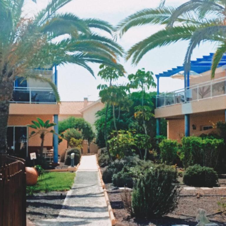 CASA ANITA, pool sea and surf in Corralejo - Apartamento de 1 dormitorio - 31