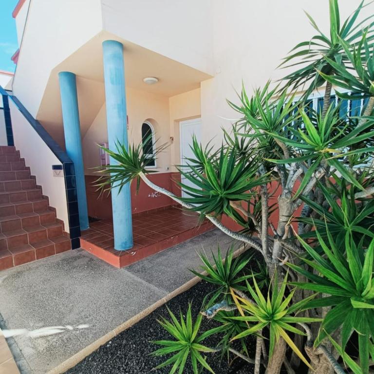 CASA ANITA, pool sea and surf in Corralejo - Apartamento de 1 dormitorio - 38
