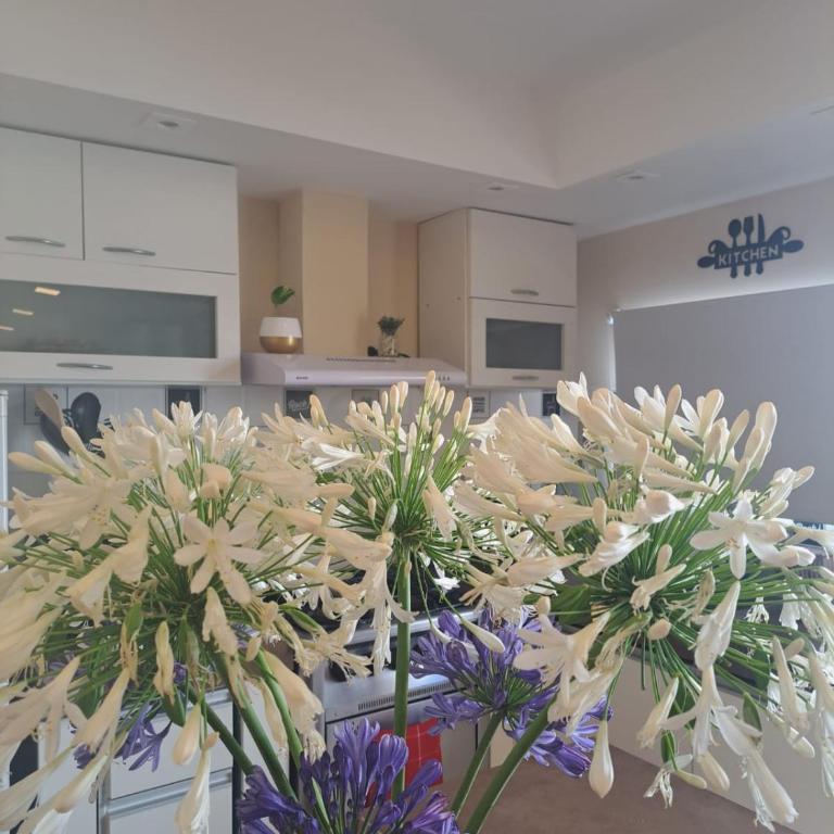 Palma de Mallorca 173 - Two-Bedroom House - 41