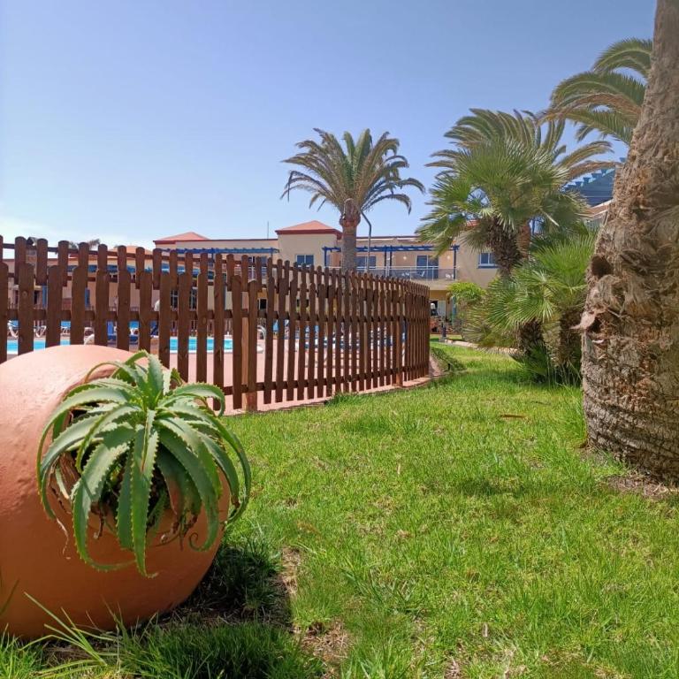 CASA ANITA, pool sea and surf in Corralejo - Apartamento de 1 dormitorio - 4