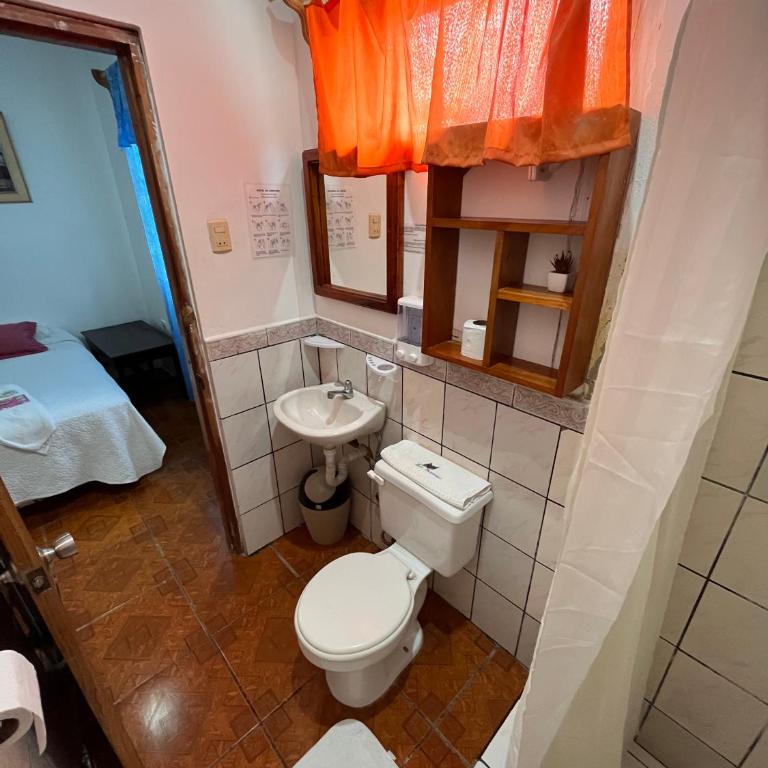 Las Gardenias Hostel - Starlink Internet - Habitación Doble Superior con vistas al jardín - 2 camas - 2