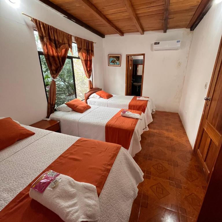 Las Gardenias Hostel - Starlink Internet - Habitación Familiar con vistas al jardín - 6