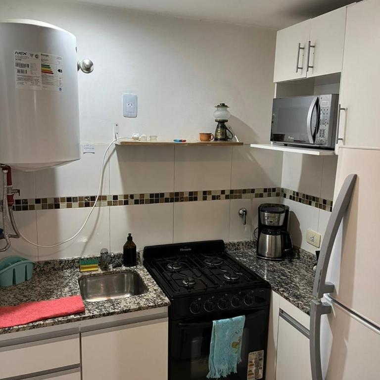 Departamento en Barrio Sur - One-Bedroom Apartment - 15