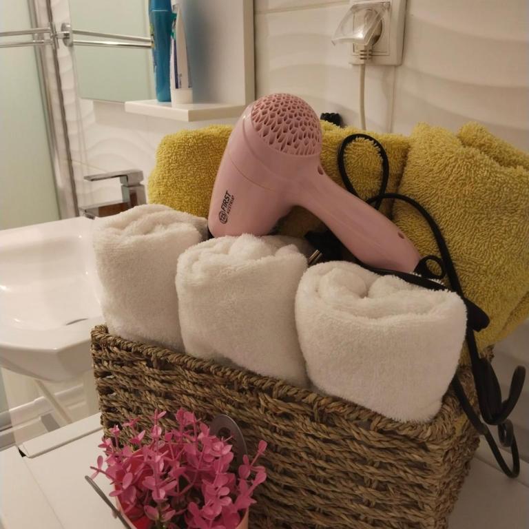 Apartman IJA - Apartman sa 1 Spavaćom Sobom - 22