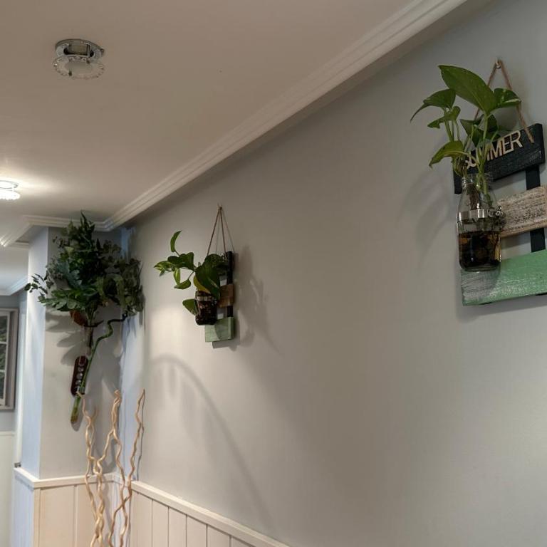 "Acogedor hogar cerquita del mar" Ideal para parejas - Apartamento de 1 dormitorio - lado mar - 20