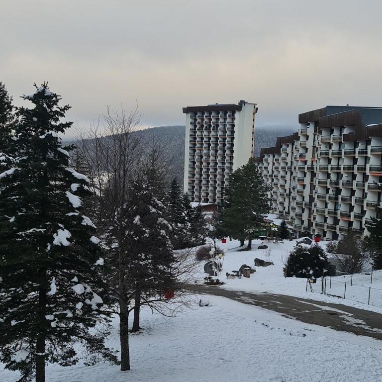 Studio pour 4 personnes pied dans les pistes - Appartamento con 1 Camera da Letto - 3