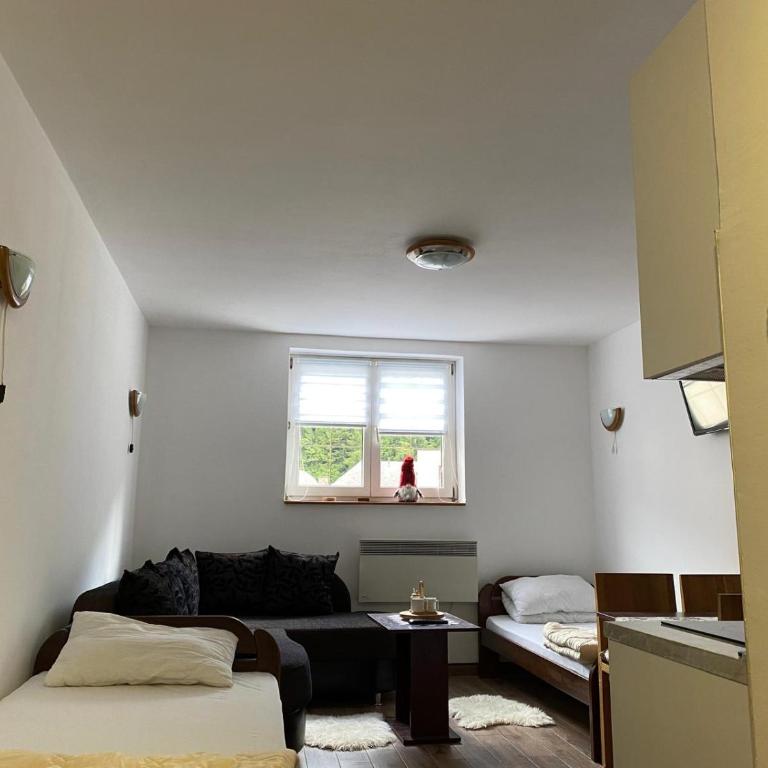 Bele Staze 3a Kopaonik, Brzece - Studio - 6