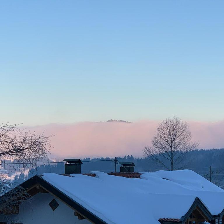 Ferienwohnung Allgäu - One-Bedroom Apartment - 3