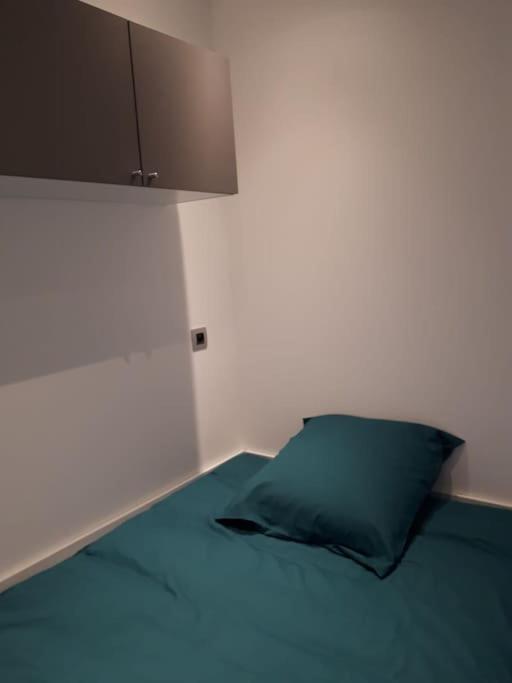 L'Emeraude du lac le calme au coeur d'Annecy - Appartement 1 Chambre - 20