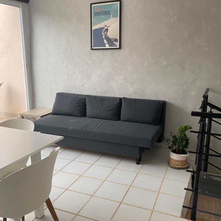 Appartement Bedoin avec vue sur le Mont Ventoux - Appartement 2 Chambres - 4