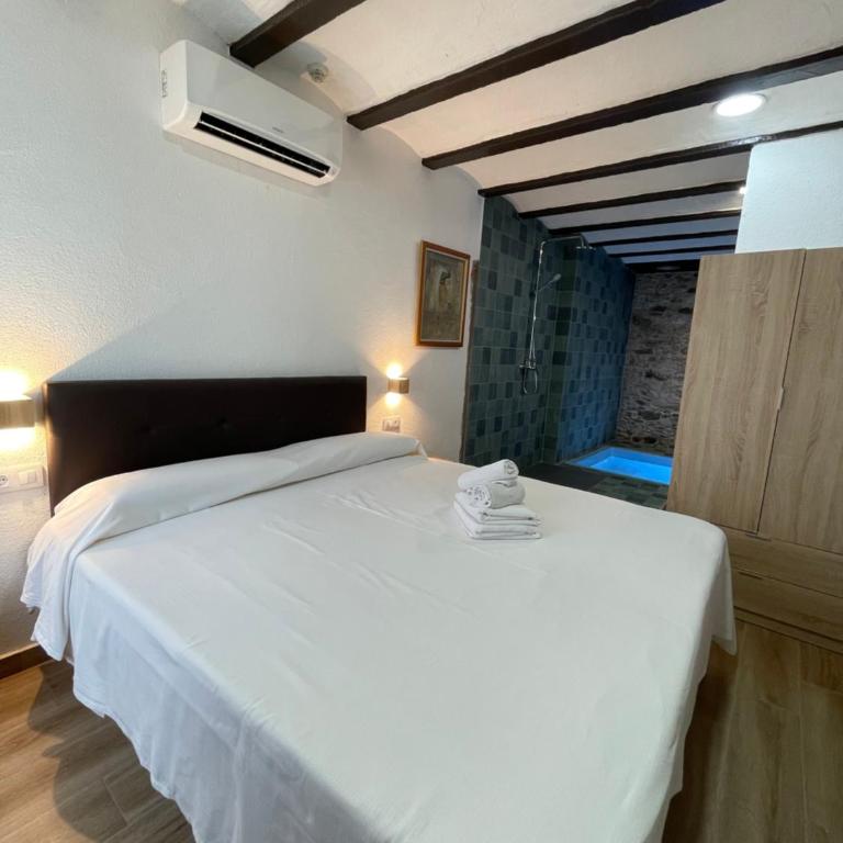 Hotel Mas Palou - Suite con piscina privada - 4