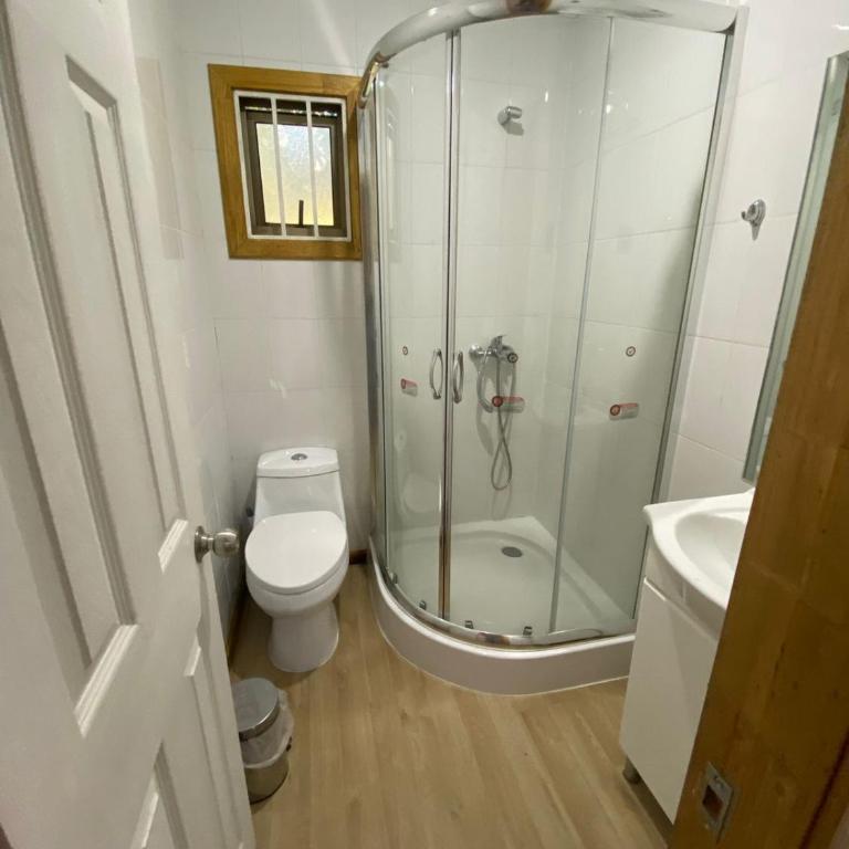 cabañas Trancura 2 - Casa con 1 dormitorio - 3