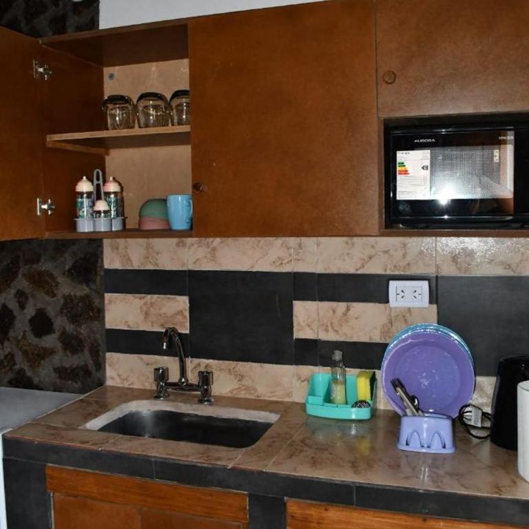 Flor de los Andes - Apartamento de 1 dormitorio - 10