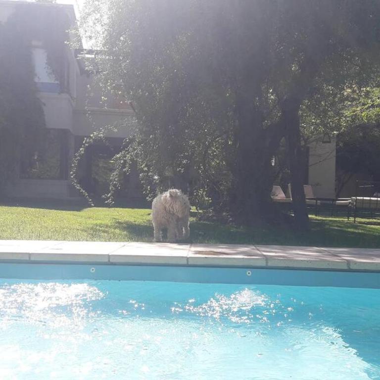 casa en el corazon de chacras de coria - Casa de 2 dormitorios - 18