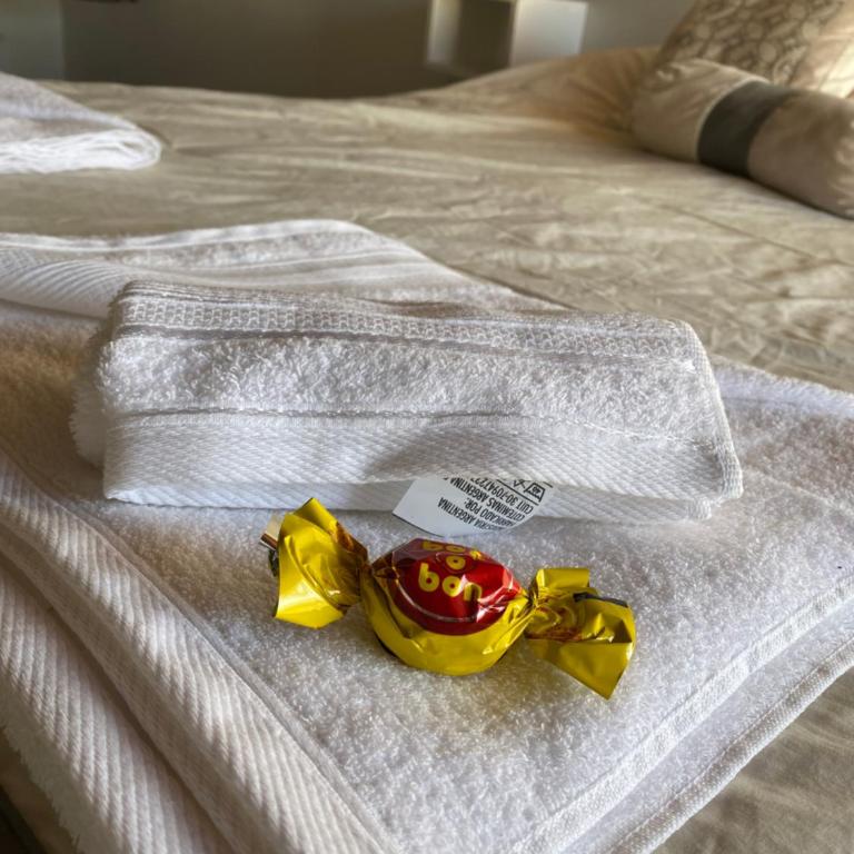 Casa Moderna en zona céntrica - Apartamento de 2 dormitorios - 22