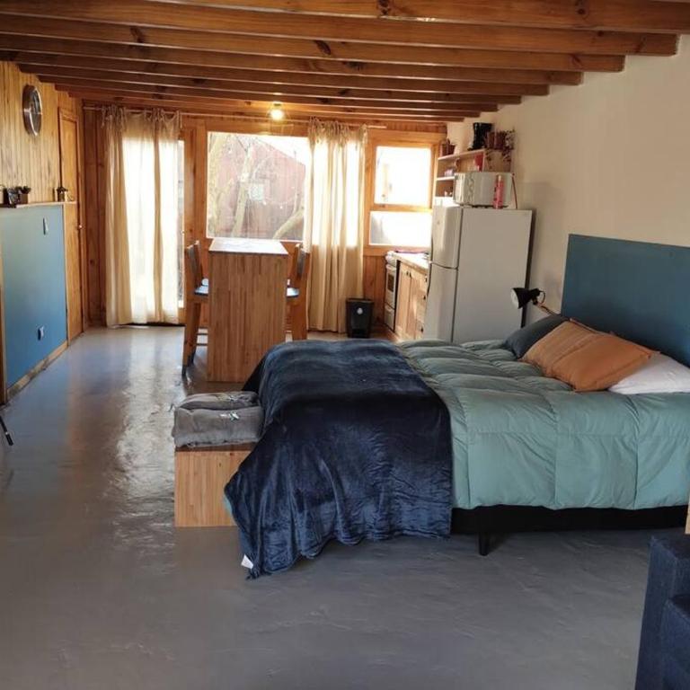 Monoambiente Araucaria - Apartamento de 1 dormitorio - 1