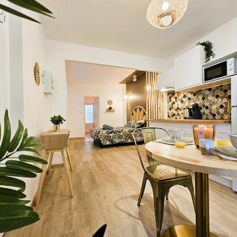 Tout confort ! Balnéo, Sauna, Cinéma, Climatisation, Parking, WiFi - Appartement 1 Chambre - 5