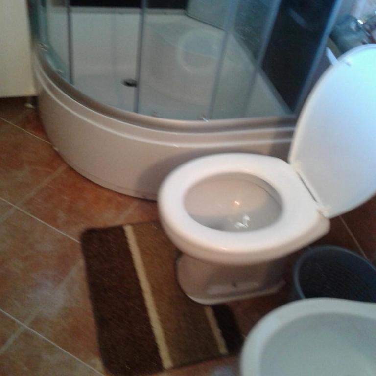 Apartmani Sobe Sljivancanin - Standard Double Room with Shared Bathroom - 18