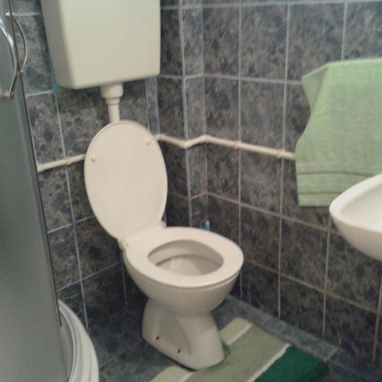 Apartmani Sobe Sljivancanin - Apartment - Ground Floor - 26