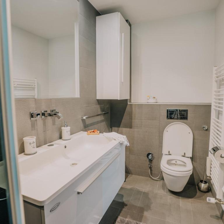 Hedona Vineyard Apartments - Apartman sa 1 Spavaćom Sobom - 29