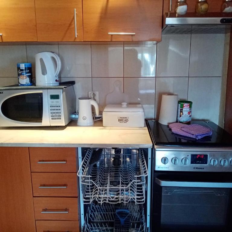 Apartman Simović, Vrnjačka Banja - Apartman sa 1 Spavaćom Sobom - 28