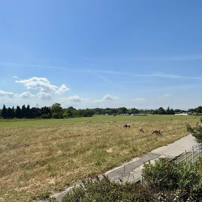 Appartement 2 pièces 4 couchages ARGELES SUR MER AR320-A08 - Appartamento Classic - 8