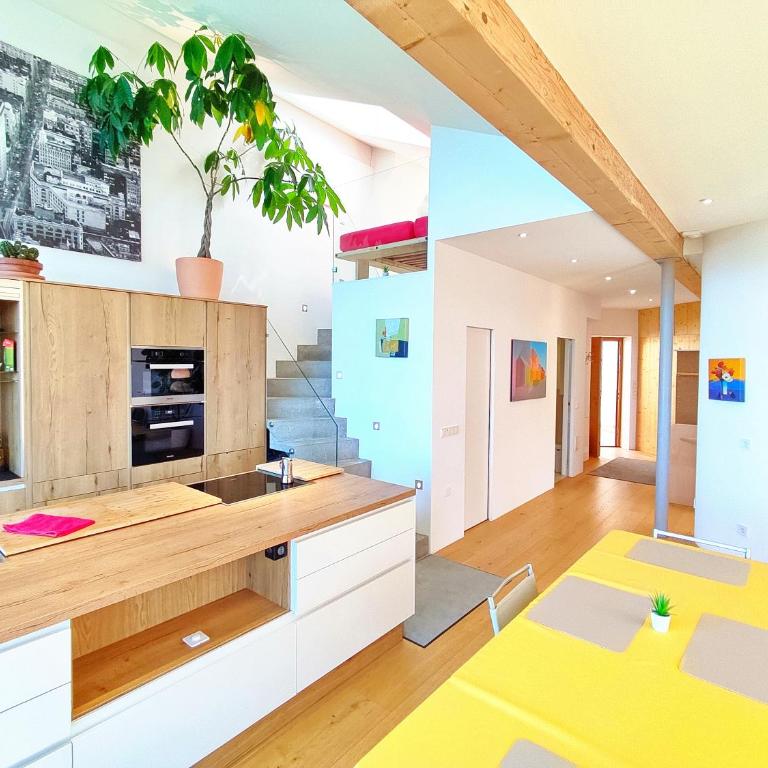Vidora Apartments - Penthouse-Apartment - 9