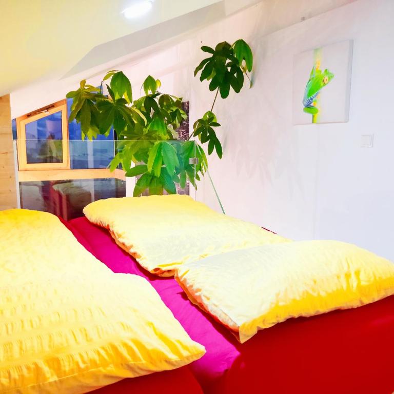 Vidora Apartments - Penthouse-Apartment - 9